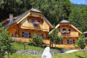 Chalet in Neukirchen with sauna